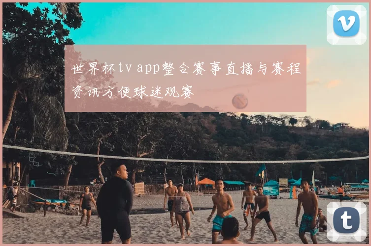 世界杯tv app整合赛事直播与赛程资讯方便球迷观赛