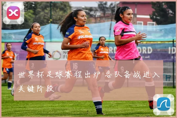 世界杯足球赛程出炉 各队备战进入关键阶段