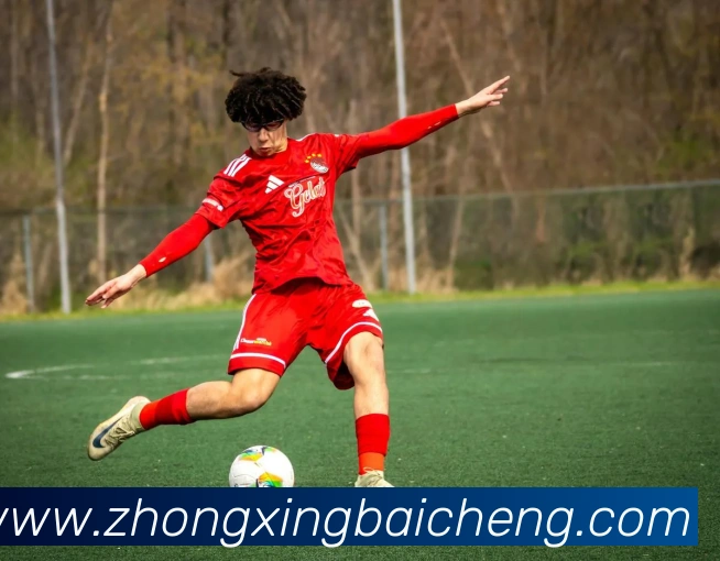 世界杯官方网络平台发展历程