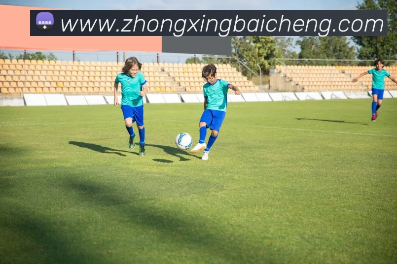 尊龙人生就是首页APP 封面图